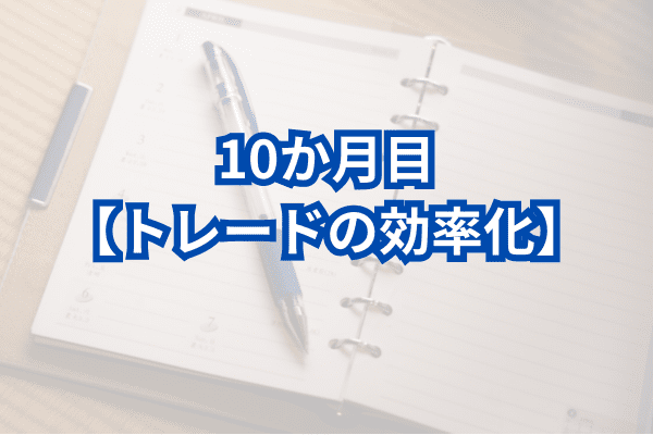 FX初心者の月ごと日記：10か月目【トレードの効率化】