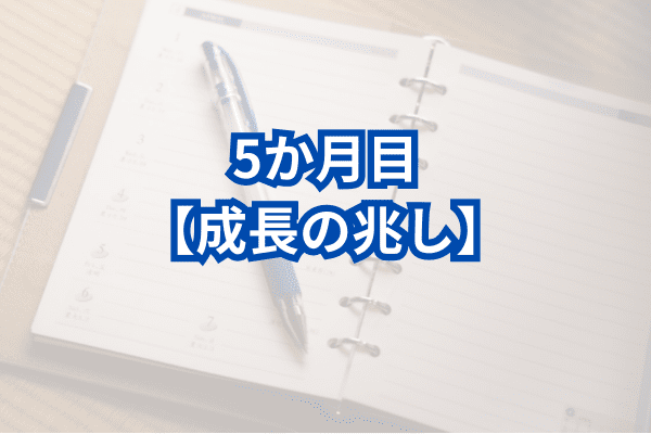 FX初心者の月ごと日記：5か月目【成長の兆し】