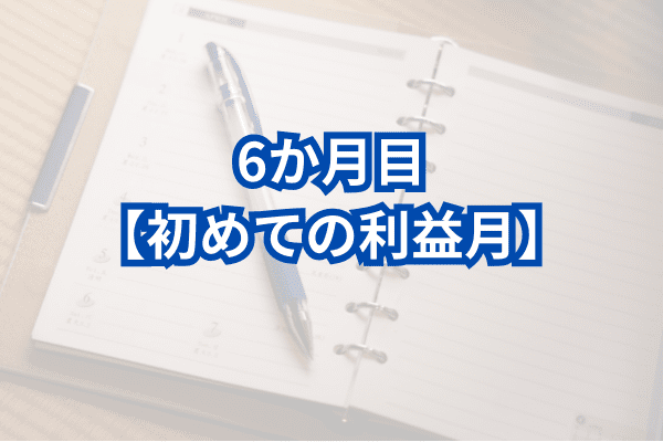 FX初心者の月ごと日記：6か月目【初めての利益月】